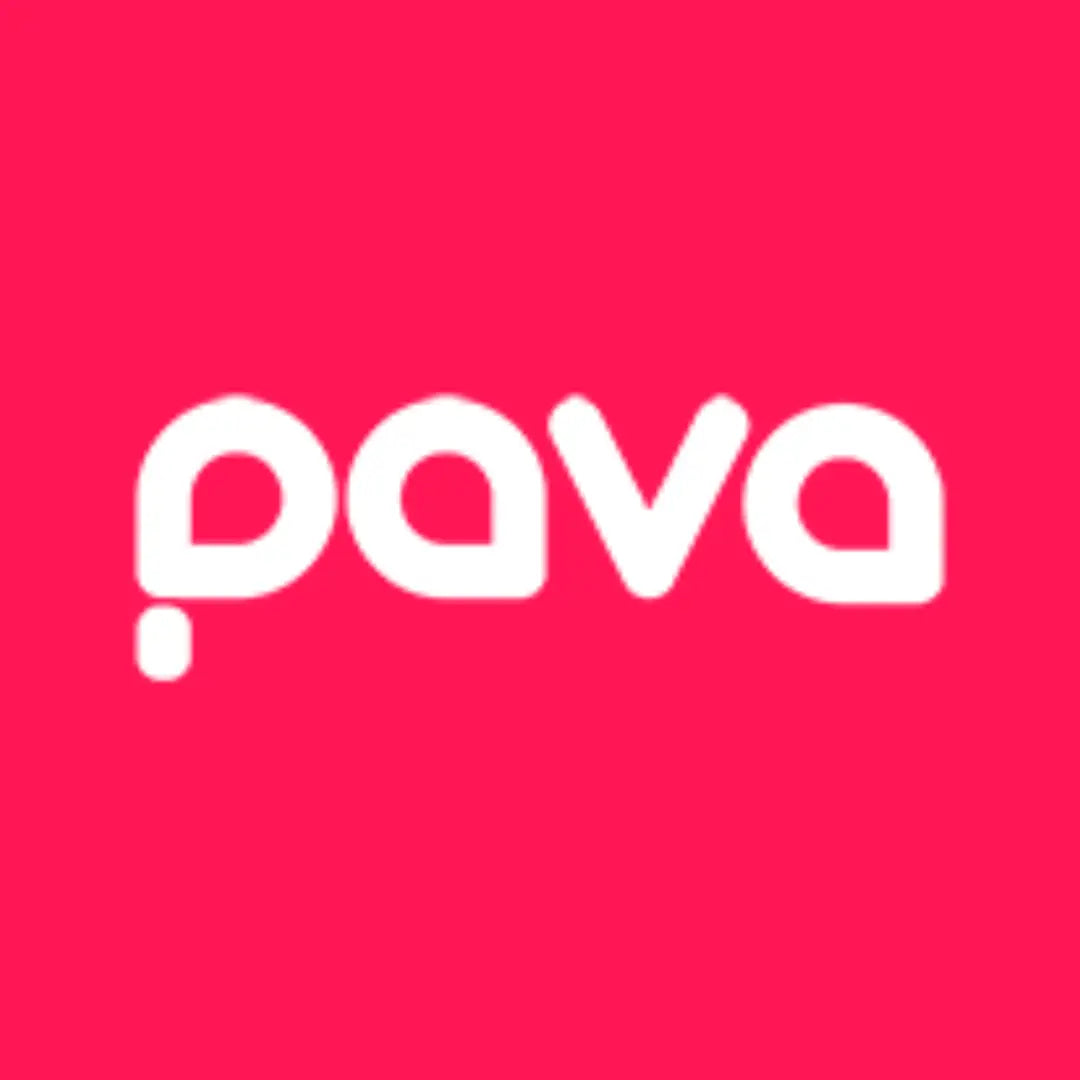 Logo of PAVA, a modern eco-friendly vaping brand offering innovative AI technology vape kits.