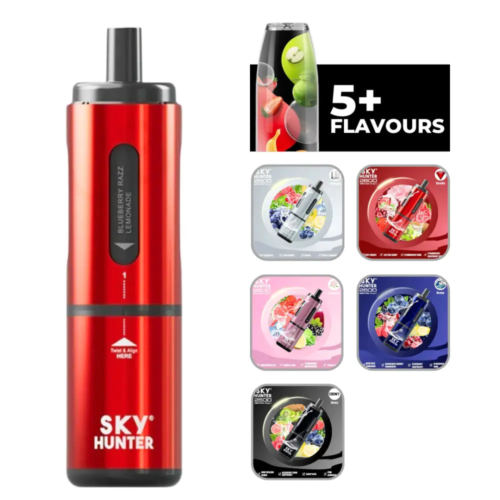 Sky Hunter Vape 2600 Puff